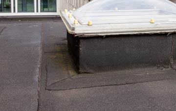 disadvantages of Ballyhornan flat roofs