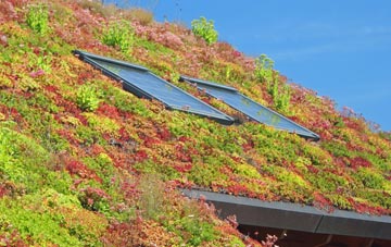 Ballyhornan living roof systems