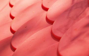 Ballyhornan plastic roof costs