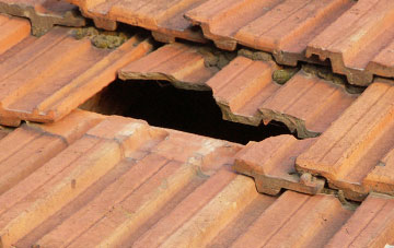 roof repair Ballyhornan, Down