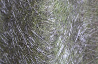 Ballyhornan fibreglass roof work